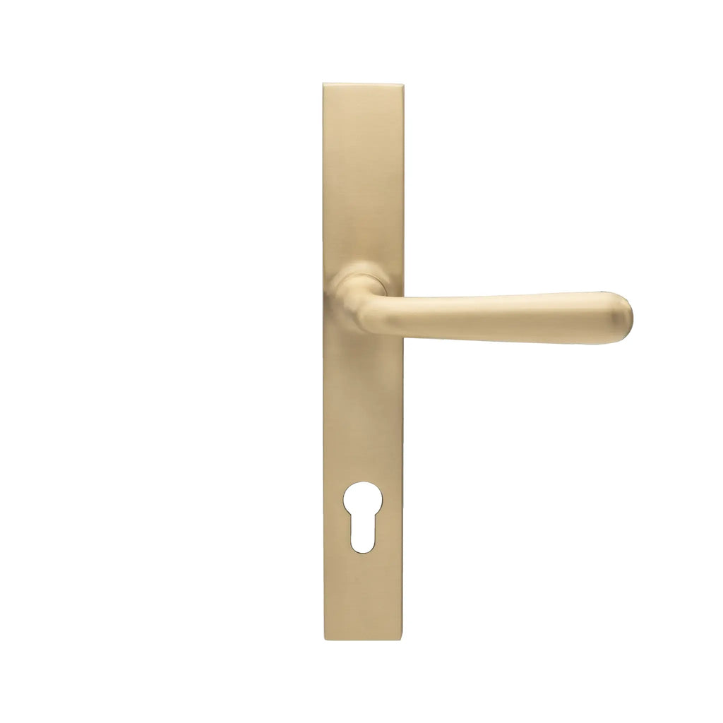 Satin Brass Lyndon External Door Handle